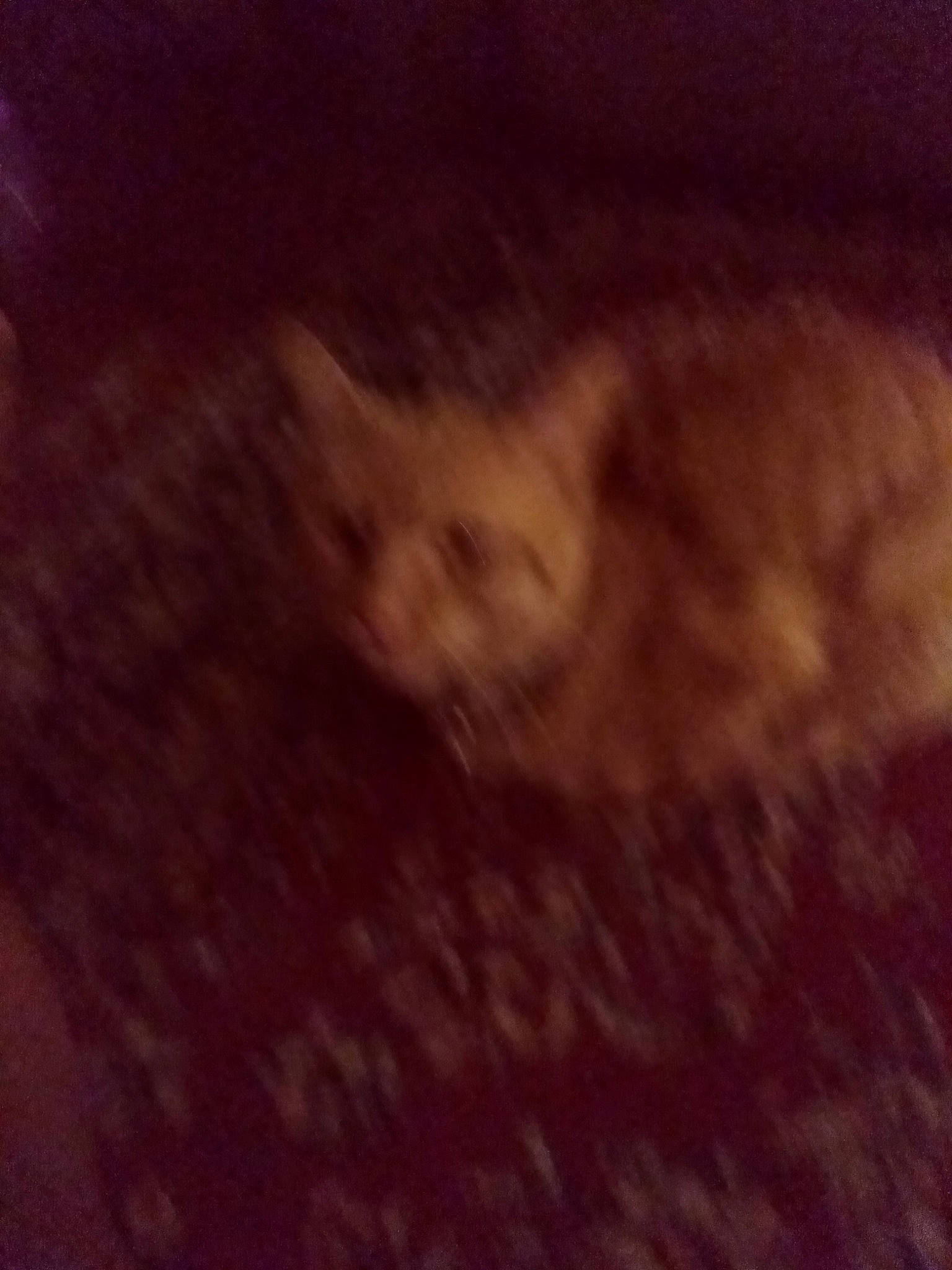 Red joined the competition — help win amazing prizes! brown, cloud, cumulus, darkness, flooring, font, fur, grass, horizon, landscape, meteorological_phenomenon, night, pattern, rectangle, sky, soil, square, tints_and_shades, visual_arts, wood