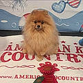Cheryl A. S.