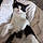 Milou
