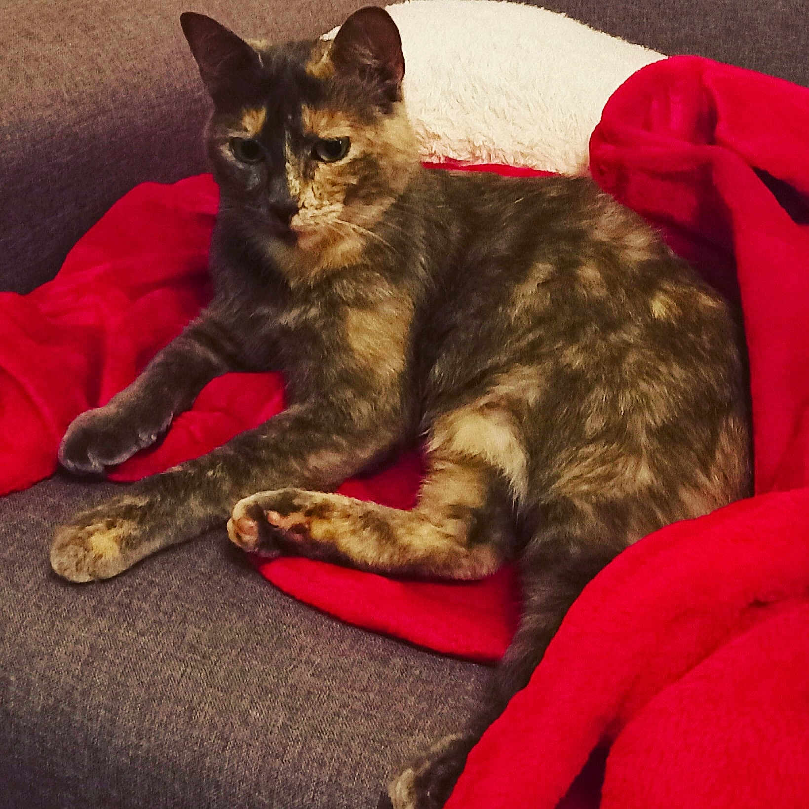 Lilou
