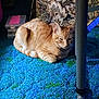 cat, orange_tabby, carpet, blue_carpet, green_carpet, furniture, floral_pattern, metal_pole, indoor, pet, resting, animal, stacked_boxes, plastic_boxes, shadow, cozy, domestic, cute, floor, relaxed