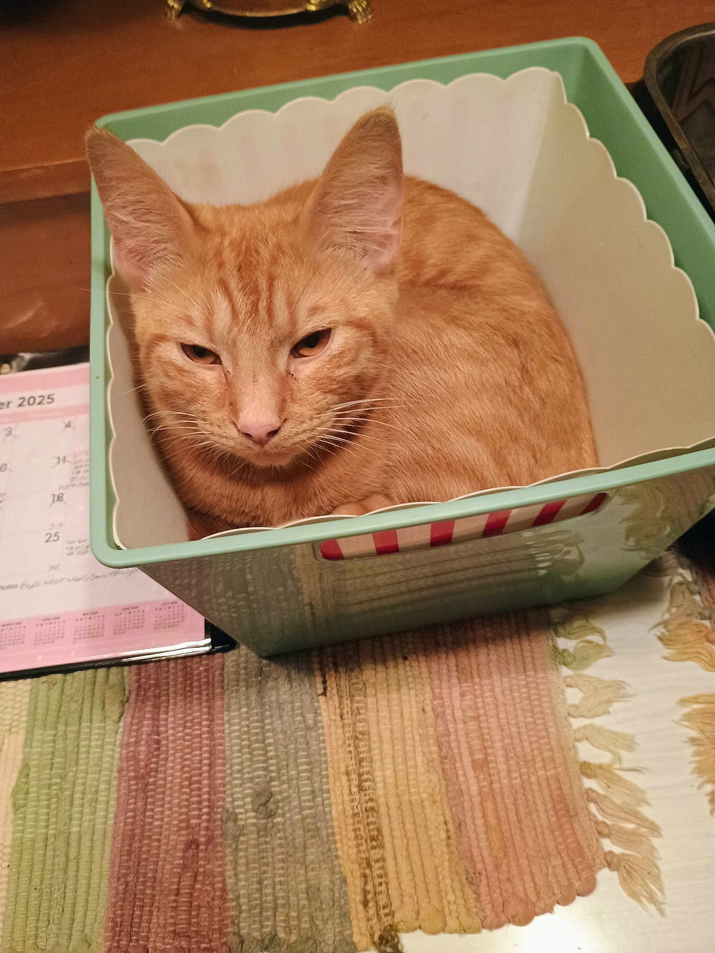 Rusty
