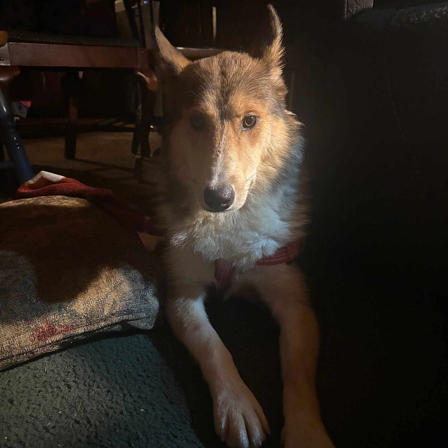 Luna
