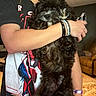 Rhys joined the competition — help win amazing prizes! puppy, dog, black_dog, curly_fur, person, arm, bracelet, tshirt, indoor, living_room, couch, carpet, holding, cute, pet, furry, paw, portrait, casual, relaxed