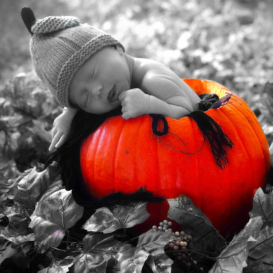 Lanie is registered to the contest to win money with this photo: autumn, black_and_white, calabaza, child, cucurbita, fruit, gourd, leaf, monochrome_photography, orange, photography, plant, pumpkin, smile, squash, still_life_photography, stock_photography, trick_or_treat, vegetable, winter_squash