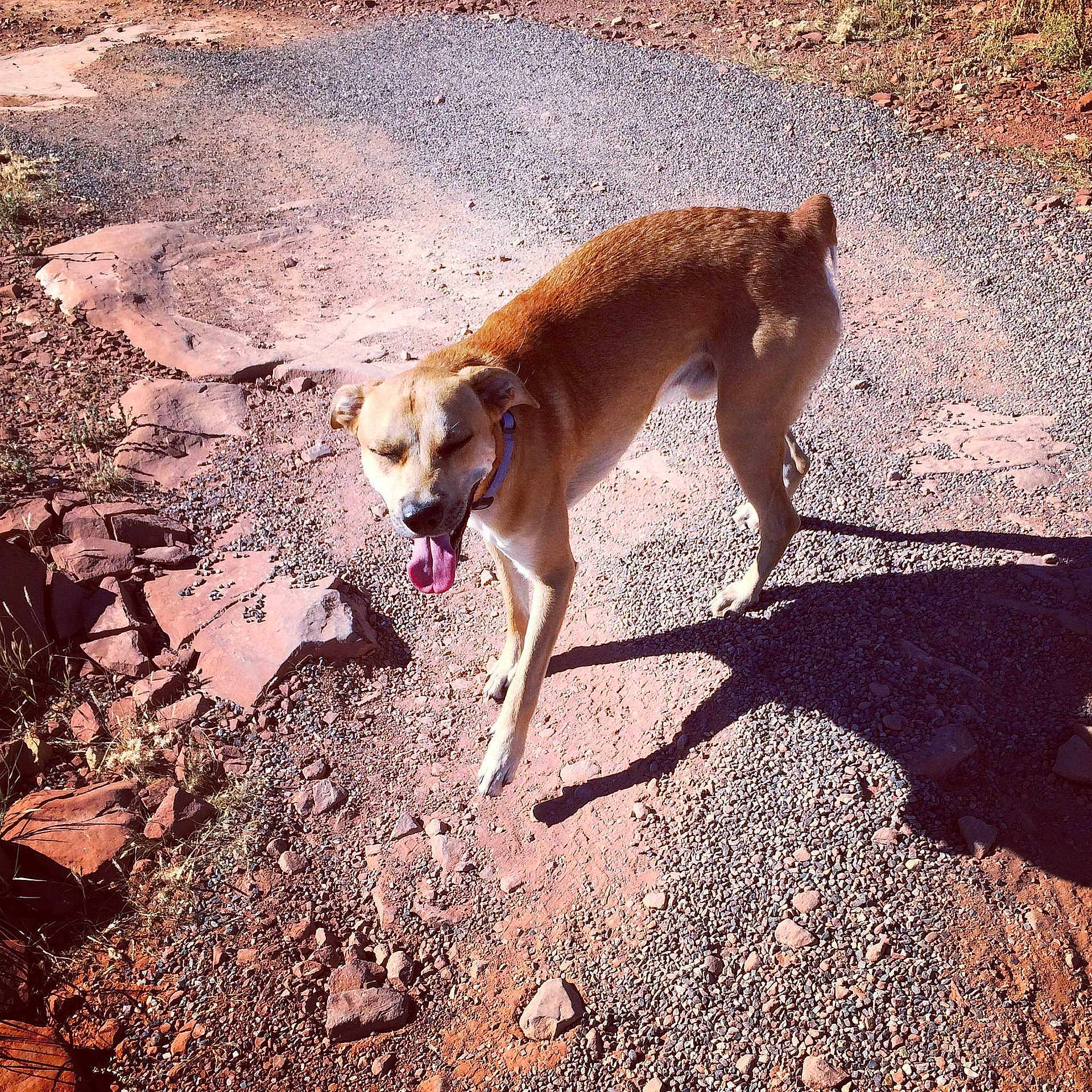 Bam is registered to the contest to win money with this photo: