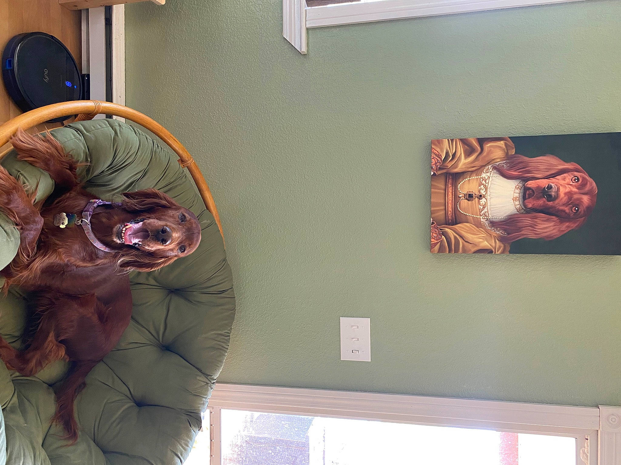 Maggie joined the competition — help win amazing prizes! abdomen, art, ceiling, eyewear, fun, fur, hair_coloring, hairstyle, magenta, mask, organism, personal_protective_equipment, picture_frame, room, selfie, vision_care, visual_arts, wood