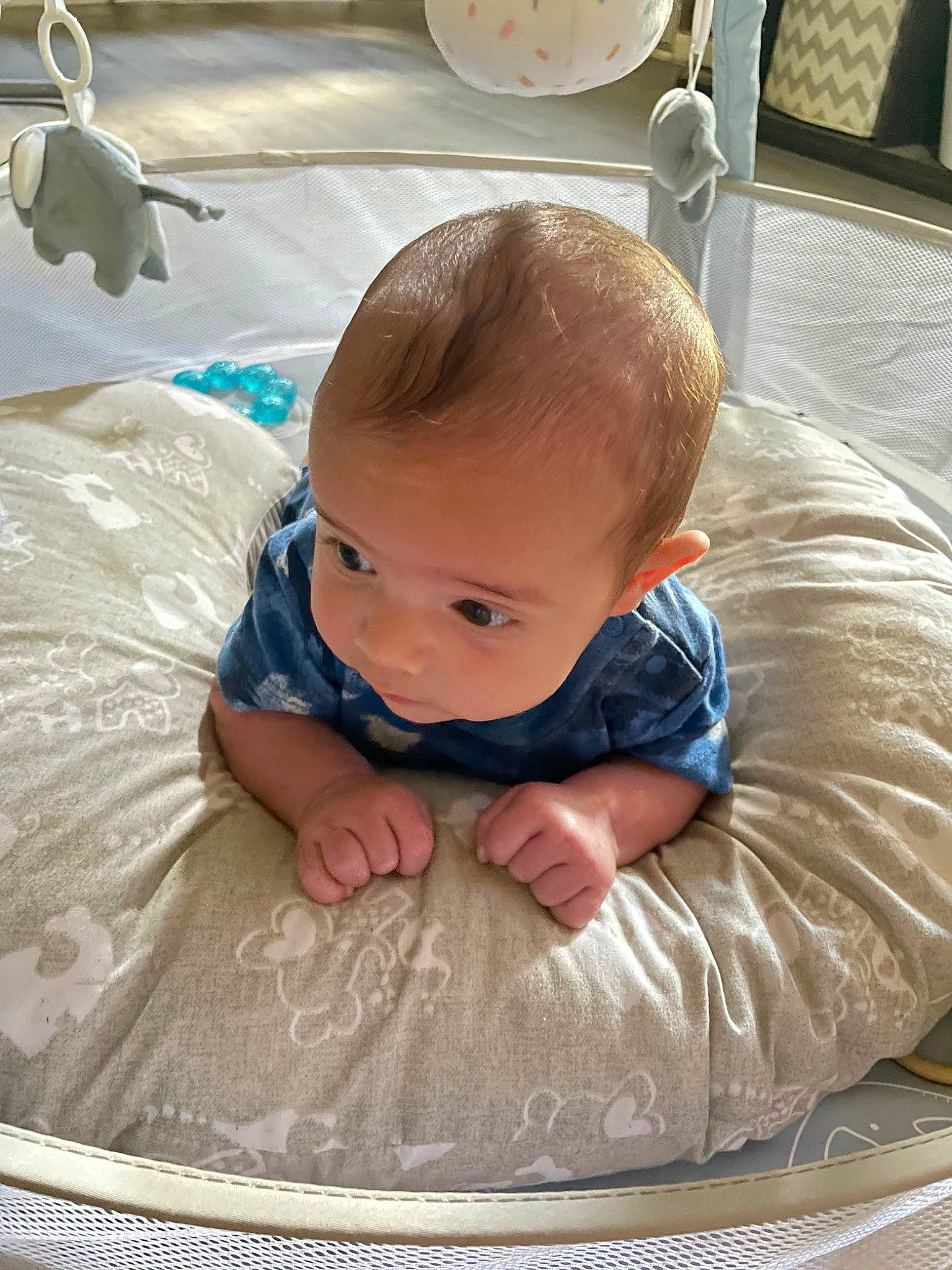 Bryson joined the competition — help win amazing prizes! baby, baby_products, baby_safety, baby_toddler_clothing, child, circle, comfort, crawling, floor, flooring, fun, grass, linens, person, product, room, sitting, skin, toddler, vacation