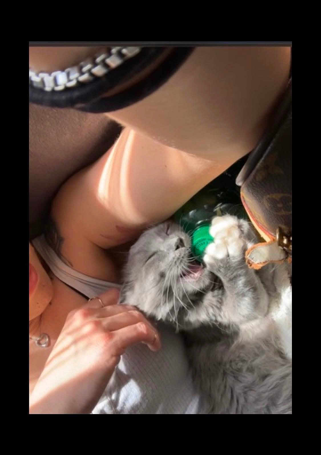Mumums is registered to the contest to win money with this photo: animal, bottle, casual_clothing, cat, closeup, cozy, cute, fluffy_cat, gray_cat, green_bottle_cap, hand, indoor, necklace, person_arm, pet, playing_cat, relaxing, sunlight, tattoo, wristband