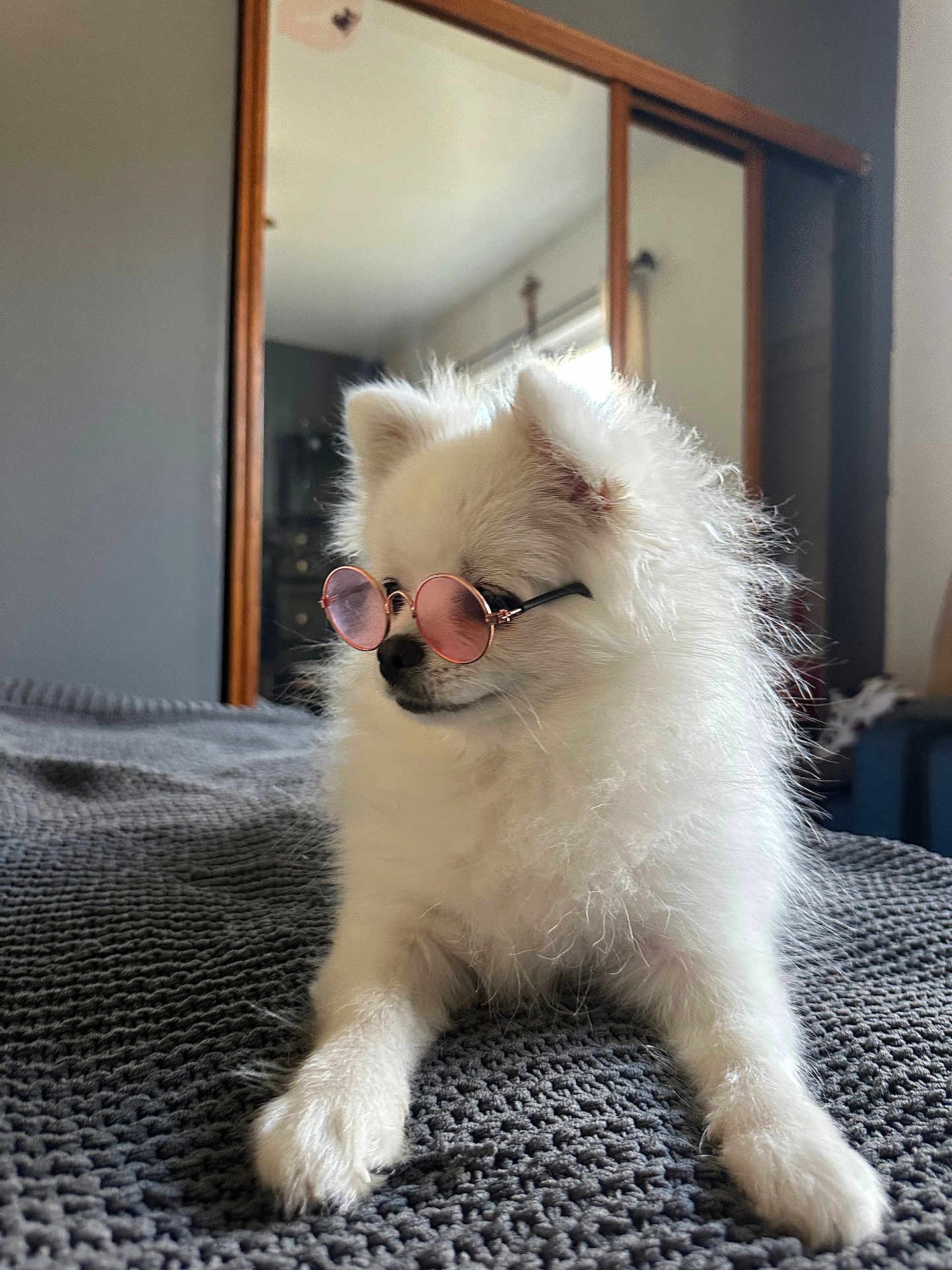 Nala