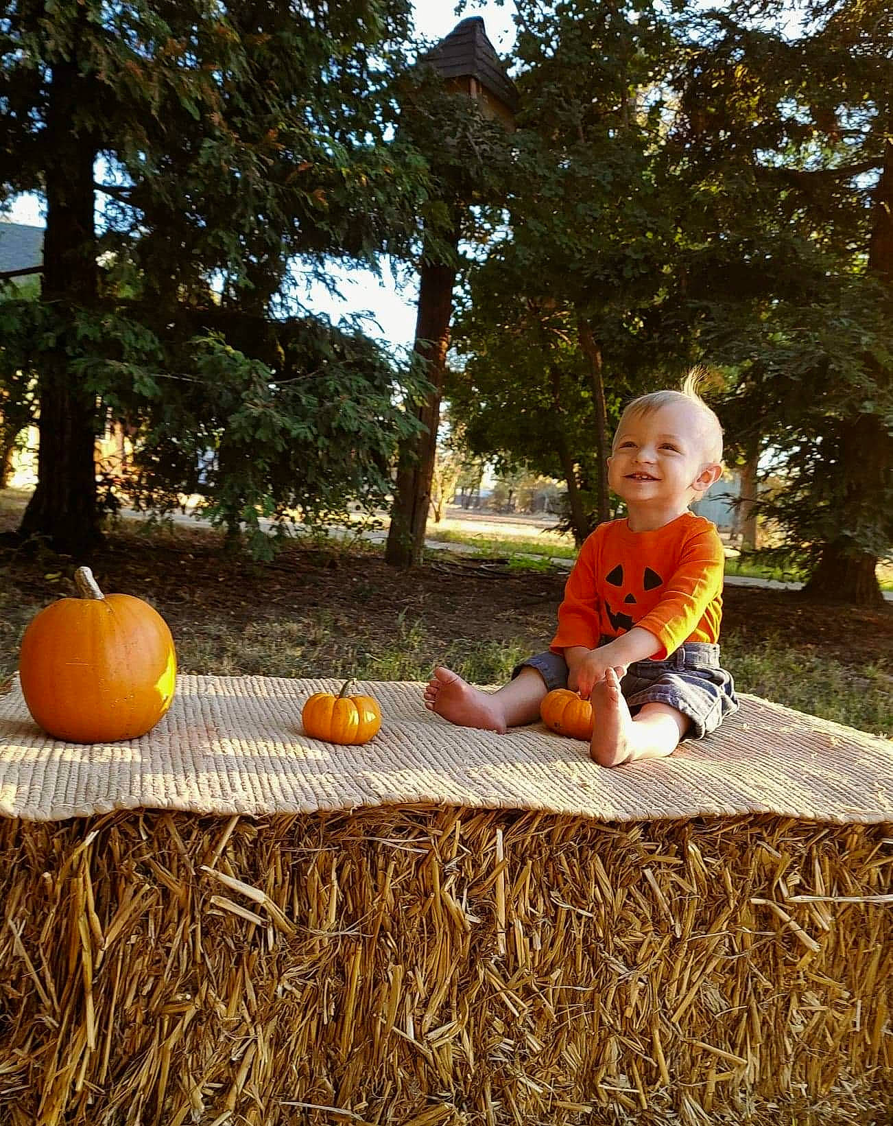 Bentlee is registered to the contest to win money with this photo: autumn, calabaza, child, cucurbita, fruit, grass, joy, orange, person, plant, pumpkin, sitting, squash, toddler, tree, vacation, winter_squash