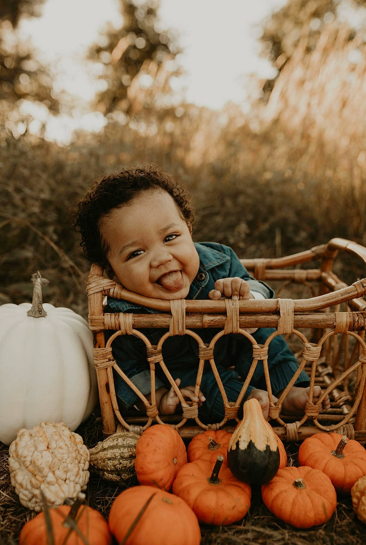 Kovie joined the competition — help win amazing prizes! black, calabaza, cucurbita, eye, face, facial_expression, fruit, head, human_body, leaf, natural_foods, people_in_nature, person, photograph, plant, pumpkin, smile, squash, tree, winter_squash