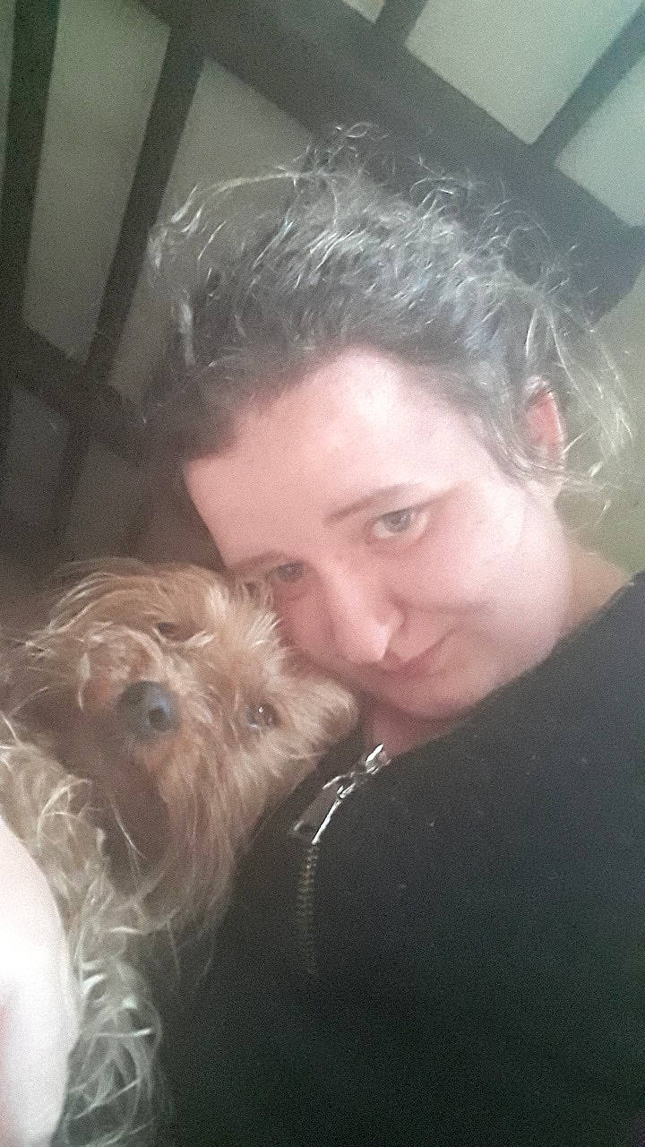 Ilky a rejoint le concours — aidez-le/la à gagner de superbes lots ! canidae, companion_dog, dog, dog_breed, nose, photography, schnoodle, selfie