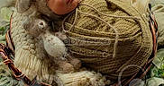 Jose is registered to the contest to win money with this photo: newborn, baby, sleeping, knitted_outfit, bear_ears, basket, blanket, soft_toys, plush, greenery, cozy, portrait, infant, cute, sleep, wrapped, child, resting, nature, adorable