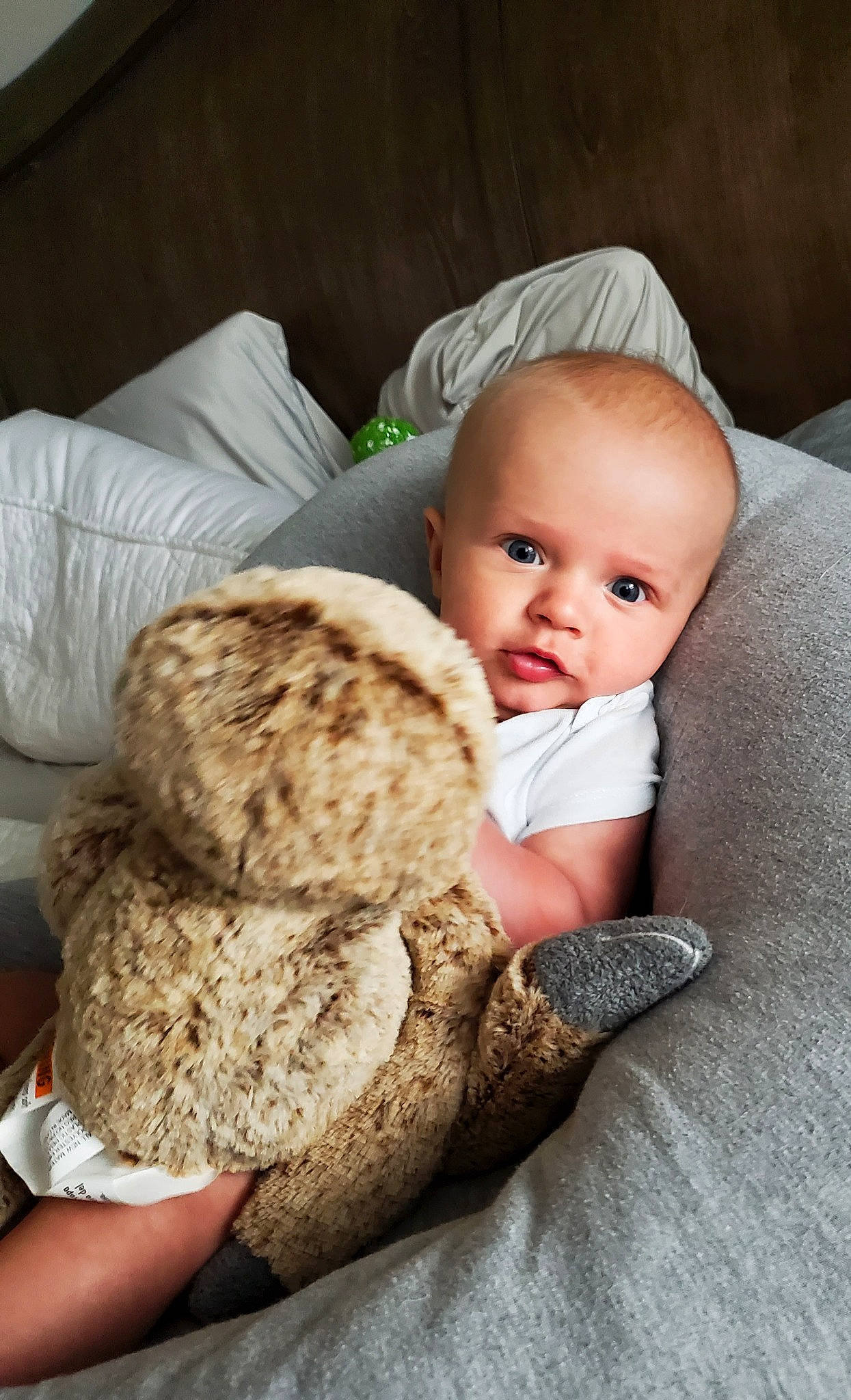 Axton joined the competition — help win amazing prizes! baby, baby_toddler_clothing, cap, child, comfort, fur, gluten, hand, headgear, linens, outerwear, person, plush, sitting, skin, stuffed_toy, textile, toddler, toy, wood