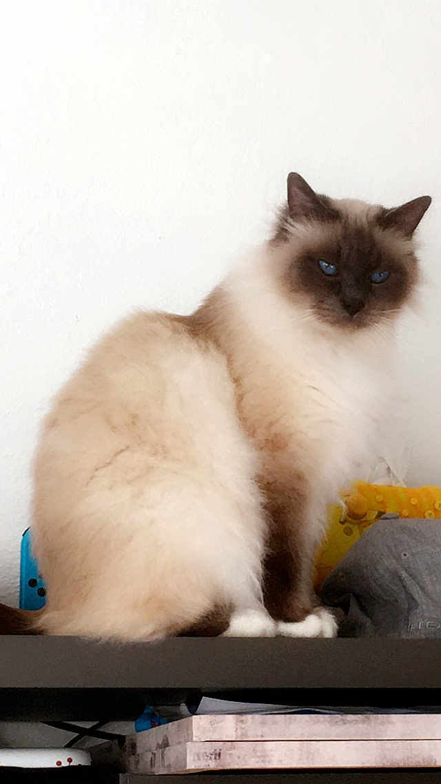 Jun