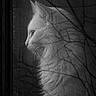 cat, feline, animal, portrait, profile, close_up, whiskers, ears, fur, window, raindrops, rain, wet_glass, black_and_white, monochrome, moody, indoor, reflection, dramatic_lighting, photography