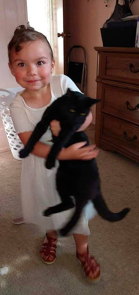 Cheyenne is registered to the contest to win money with this photo: arm, black, cabinetry, carnivore, cat, chest, drawer, dresser, felidae, formal_wear, gesture, iris, joy, person, sleeve, small_to_medium_sized_cats, smile, standing, tail, toddler