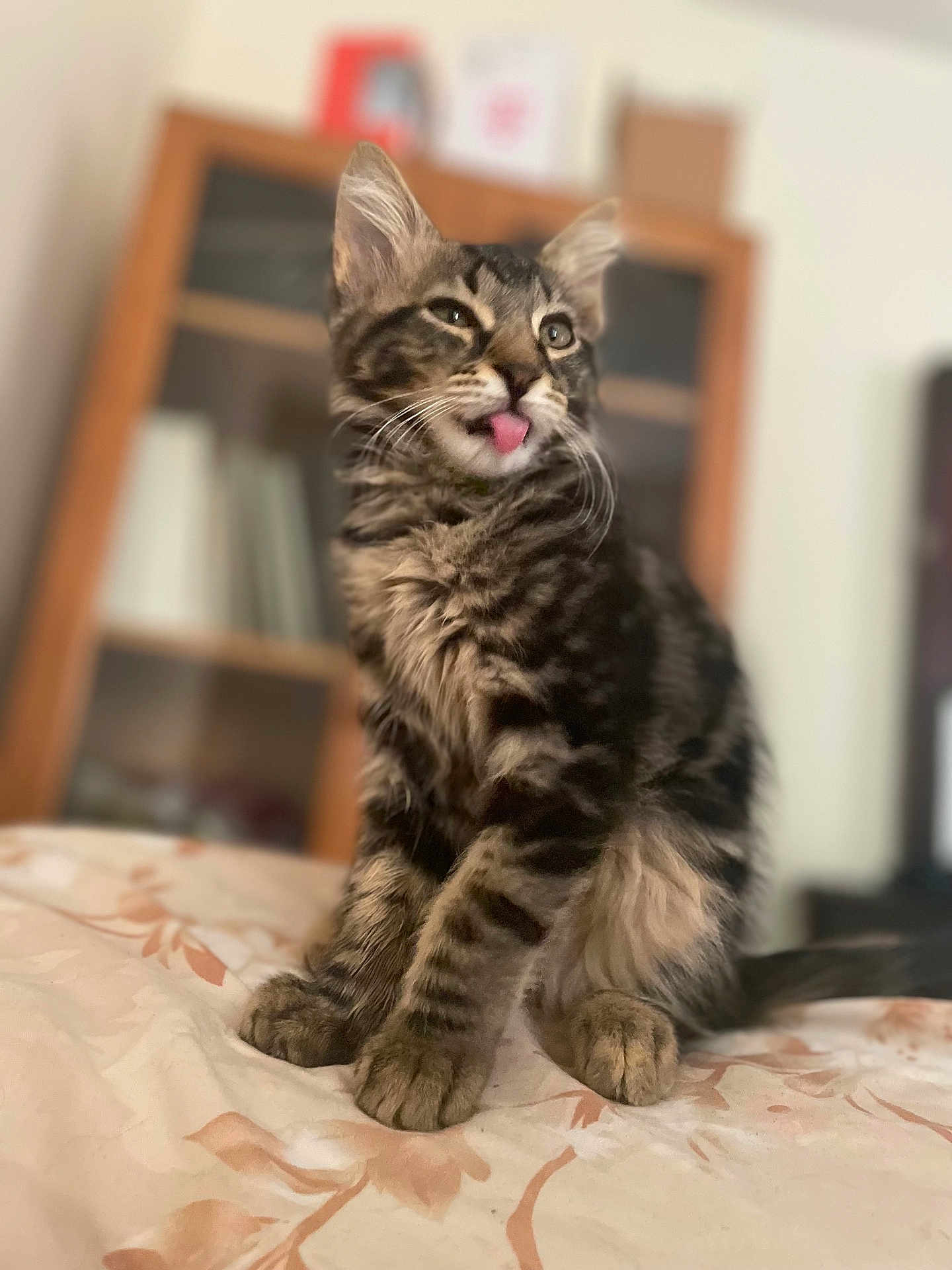 Ziggy