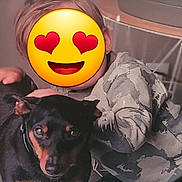 Little participe au concours pour gagner de l'argent avec cette photo : affection, animal, black_dog, blurred_background, camouflage, child, companion, cozy, cute, dog, friendly, hand, happy, indoors, love, pet, portrait, small_dog, sweater, young_child