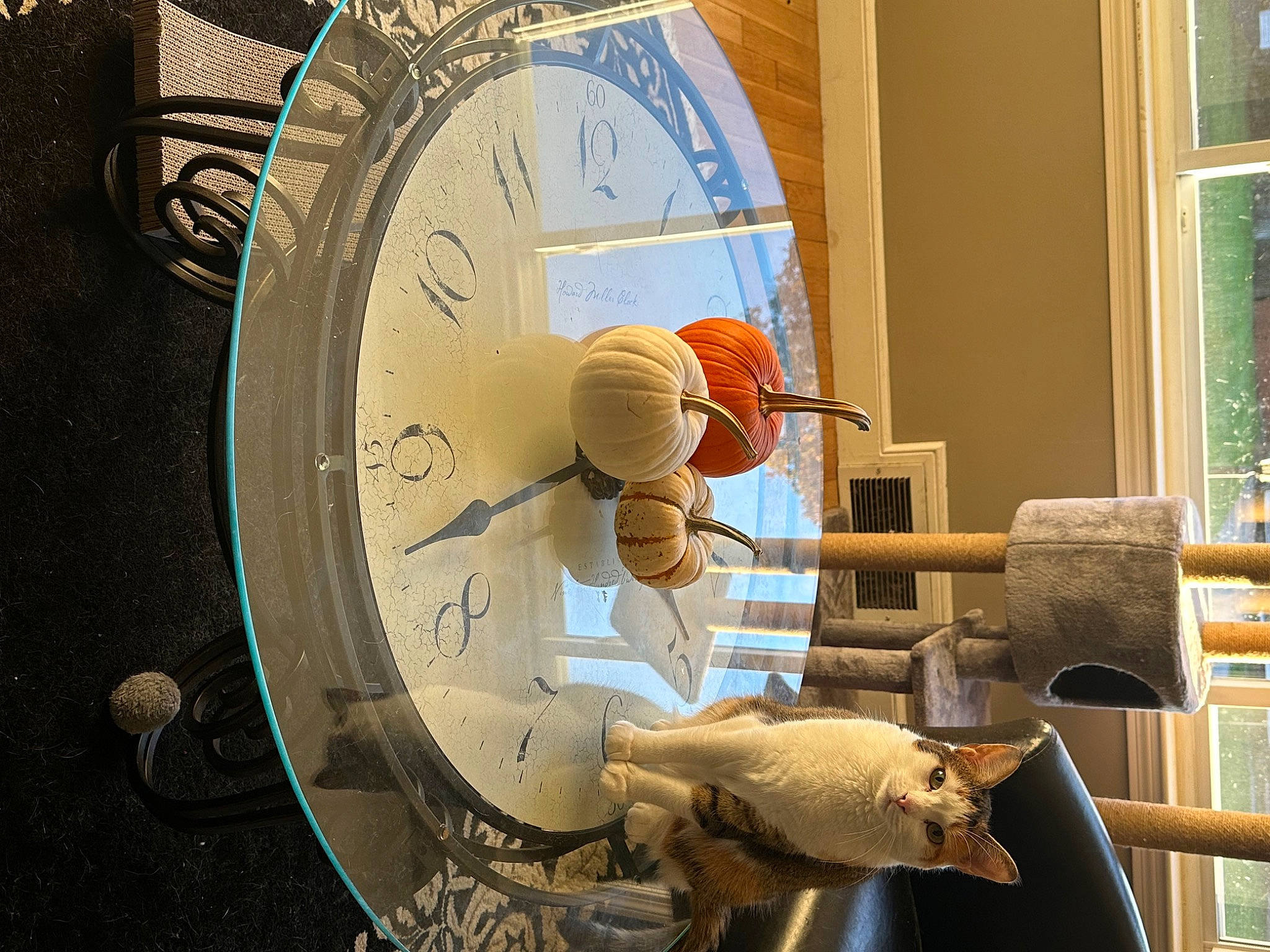 Freyja is registered to the contest to win money with this photo: art, circle, clock, engineering, fashion_accessory, font, home_accessories, machine, metal, propeller, room, sculpture, space, tourist_attraction, visual_arts, window, wood