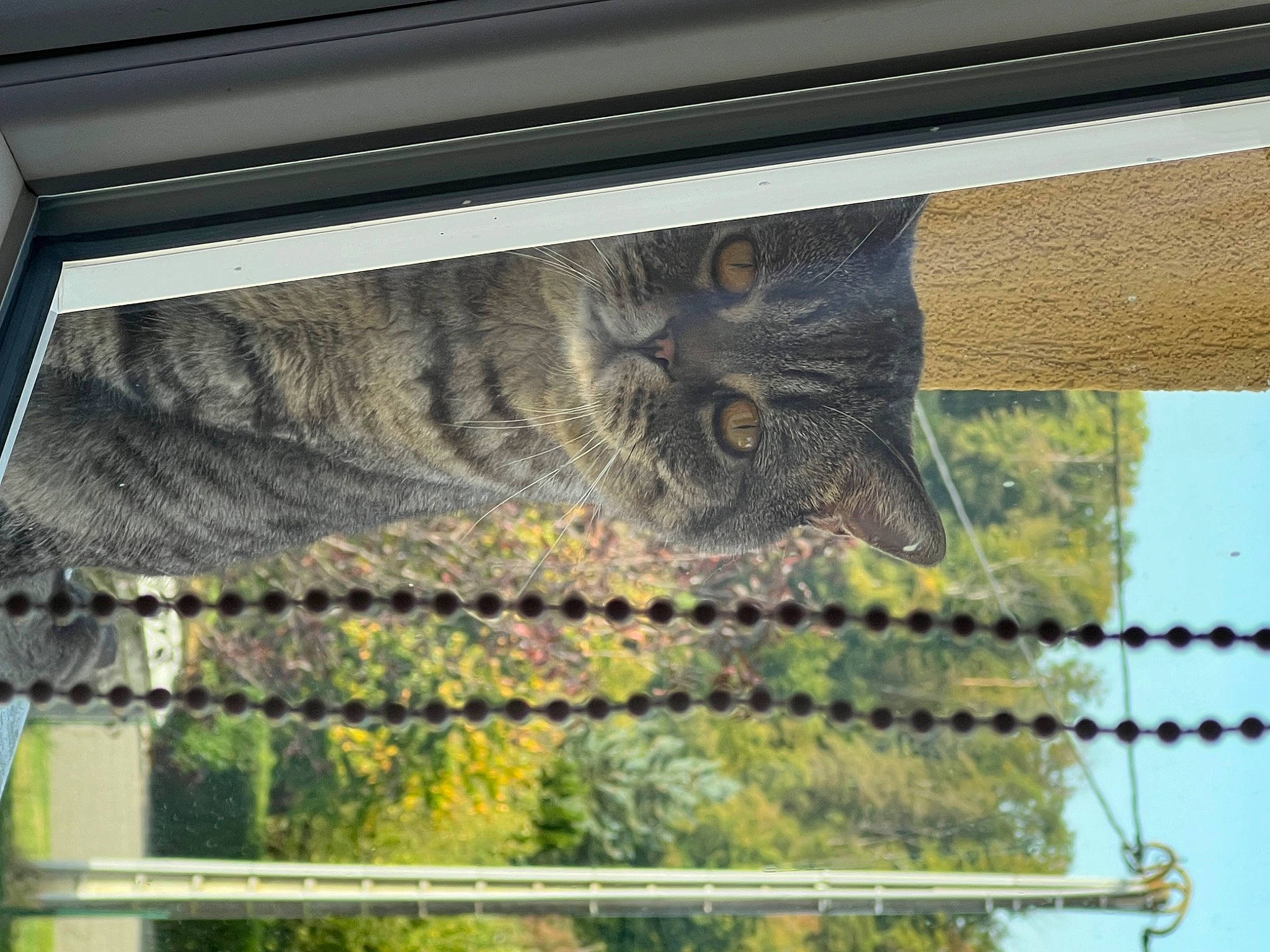 Olympe participe au concours pour gagner de l'argent avec cette photo : art, auto_part, automotive_exterior, carving, design, facade, glass, grass, mesh, metal, motor_vehicle, pattern, plant, rectangle, symmetry, tints_and_shades, vehicle_door, visual_arts, window, wood