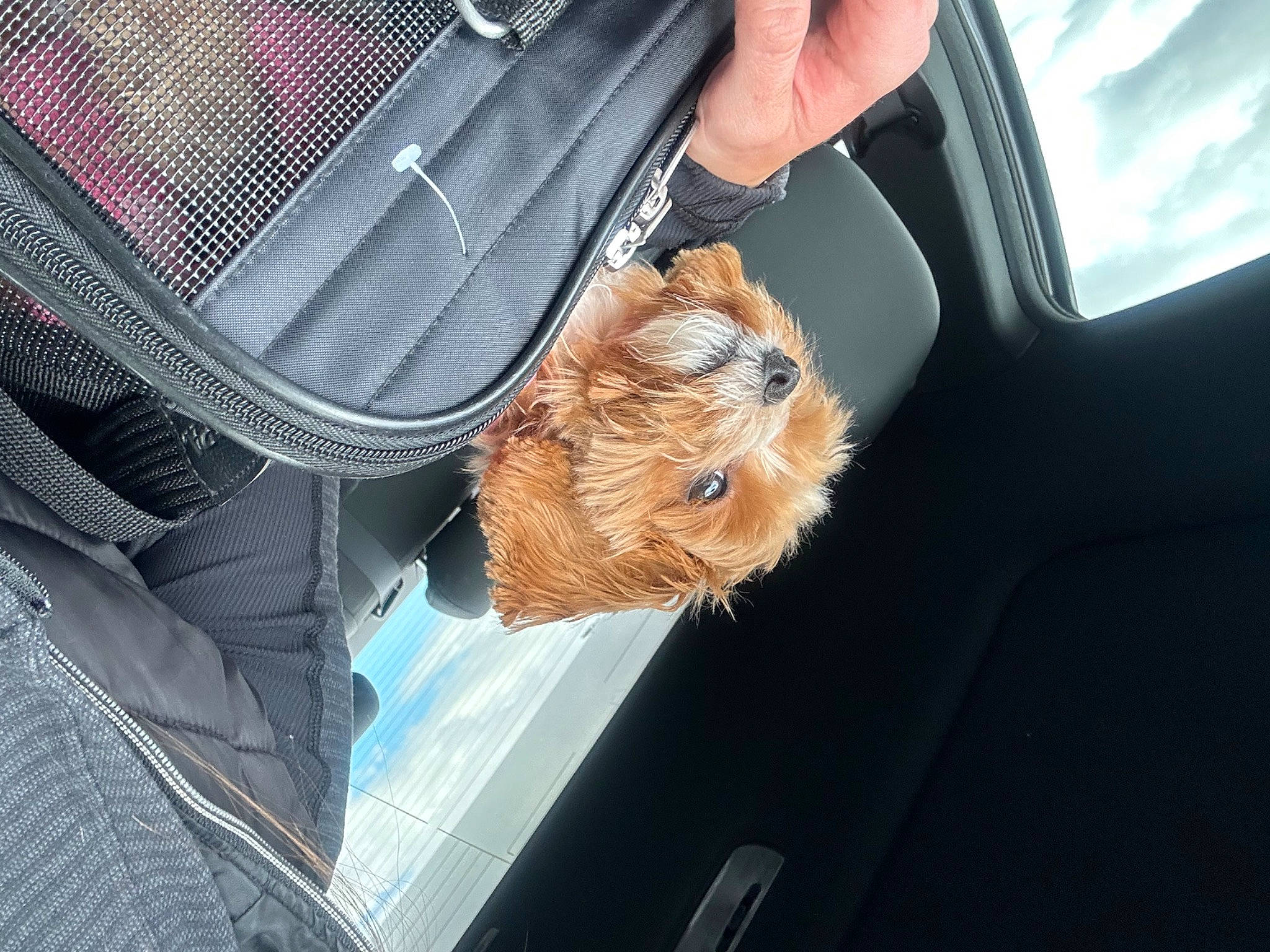 Senna Jean joined the competition — help win amazing prizes! auto_part, automotive_design, automotive_exterior, automotive_lighting, automotive_window_part, car, car_seat, car_seat_cover, comfort, family_car, gesture, glass, hood, luxury_vehicle, motor_vehicle, personal_luxury_car, seat_belt, vehicle, vehicle_door, windshield