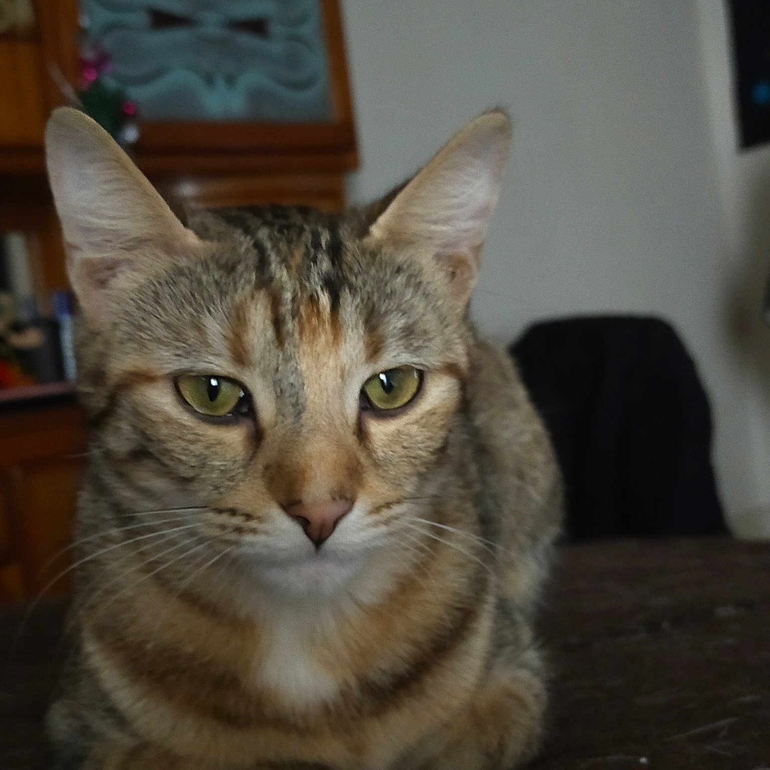 Pouniette