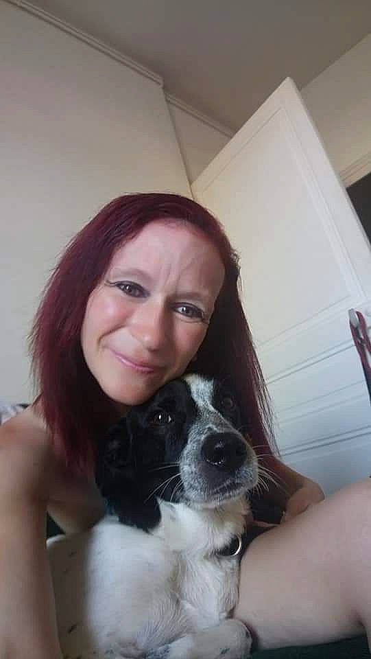 Maxou a rejoint le concours — aidez-le/la à gagner de superbes lots ! black_hair, boston_terrier, carnivore, companion_dog, dog, dog_breed, ear, eyebrow, eyelash, fawn, gesture, iris, jaw, lip, neck, nose, shoulder, skin, smile, snout