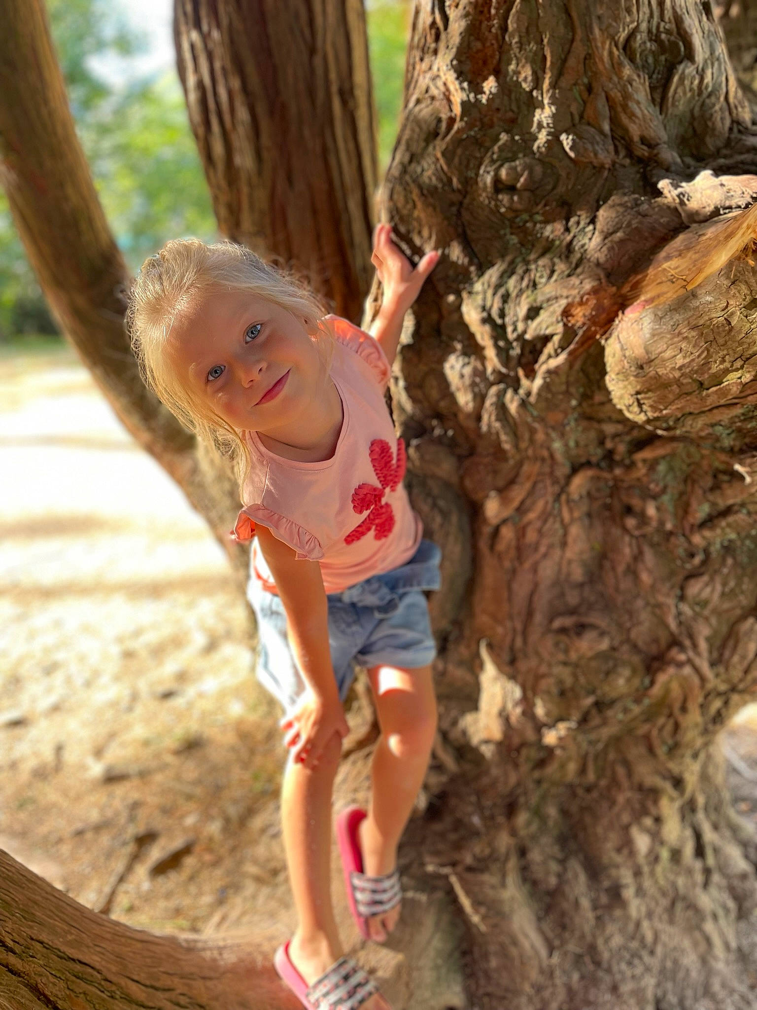 Maelys a rejoint le concours — aidez-le/la à gagner de superbes lots ! child, forest, fun, grass, happy, joy, leisure, people_in_nature, person, plant, recreation, rock, shorts, soil, thigh, toddler, tree, trunk, wood, woodland