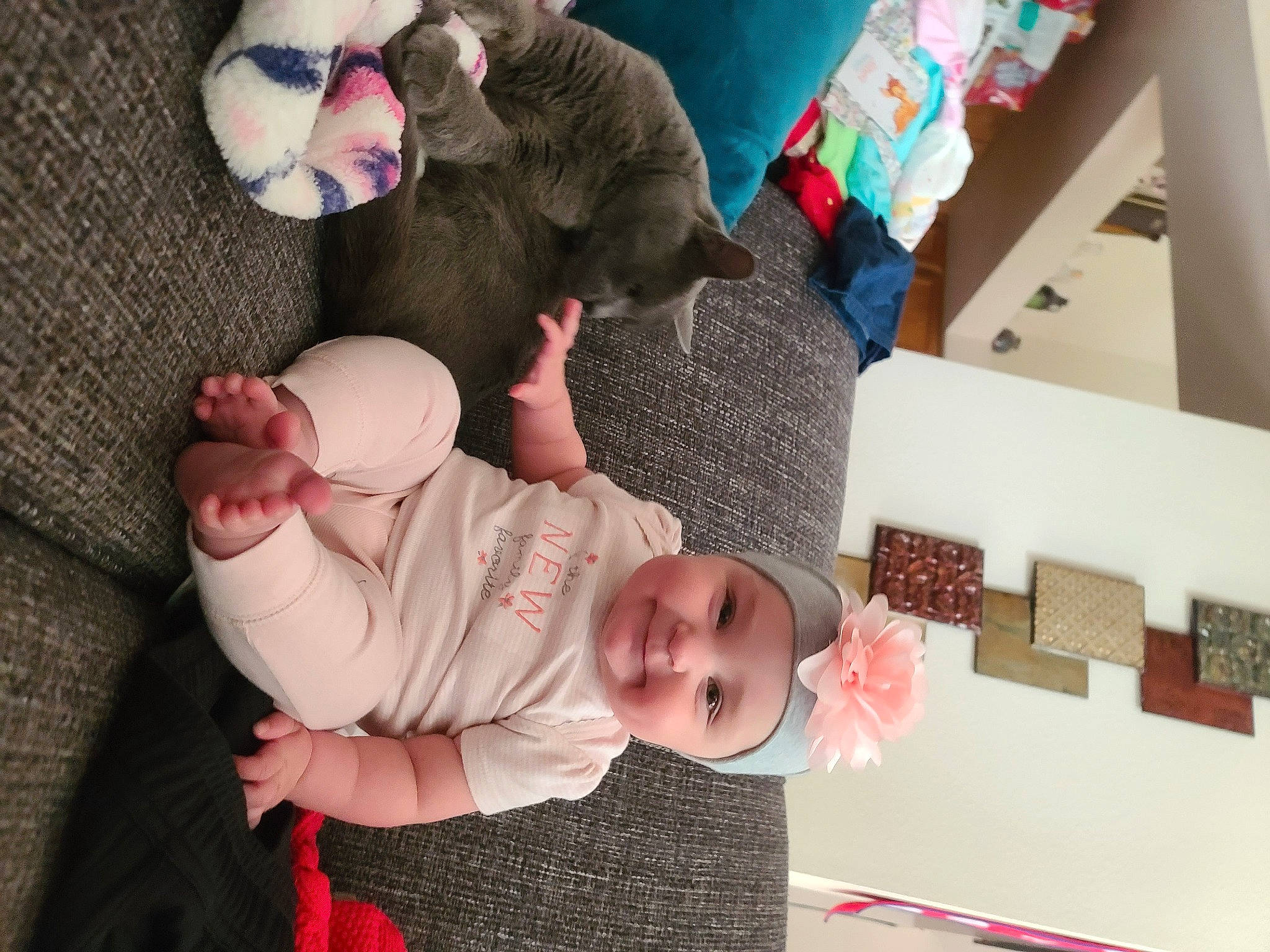 Kensington is registered to the contest to win money with this photo: baby, baby_products, baby_sleeping, baby_toddler_clothing, baby_toys, child, comfort, companion_dog, foot, fur, headwear, infant_bed, joy, person, pink, plush, room, sock, stuffed_toy, tail