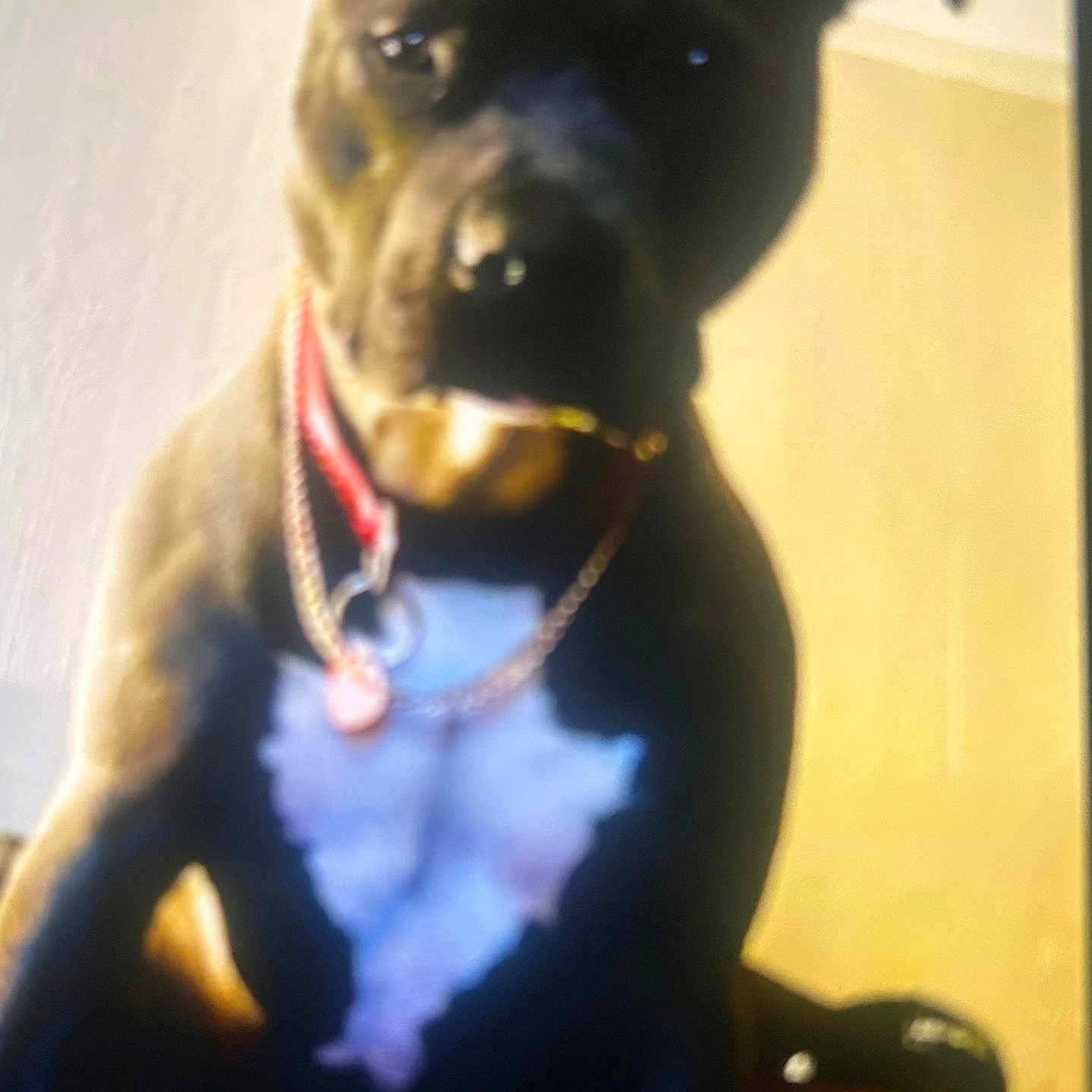 Diesel