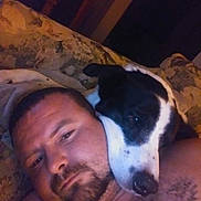 Cashious Clay is registered to the contest to win money with this photo: man, dog, face, portrait, couch, indoor, closeup, animal, pet, companion, relaxing, casual, beard, black_and_white_dog, skin, human, friendship, resting, head, affection