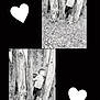 Raphaël a rejoint le concours — aidez-le/la à gagner de superbes lots ! child, boy, tree, black_and_white, outdoor, nature, grass, playful, collage, heart_shape, casual_clothing, smiling, young, portrait, wood, daylight, cute, fun, person, scenery