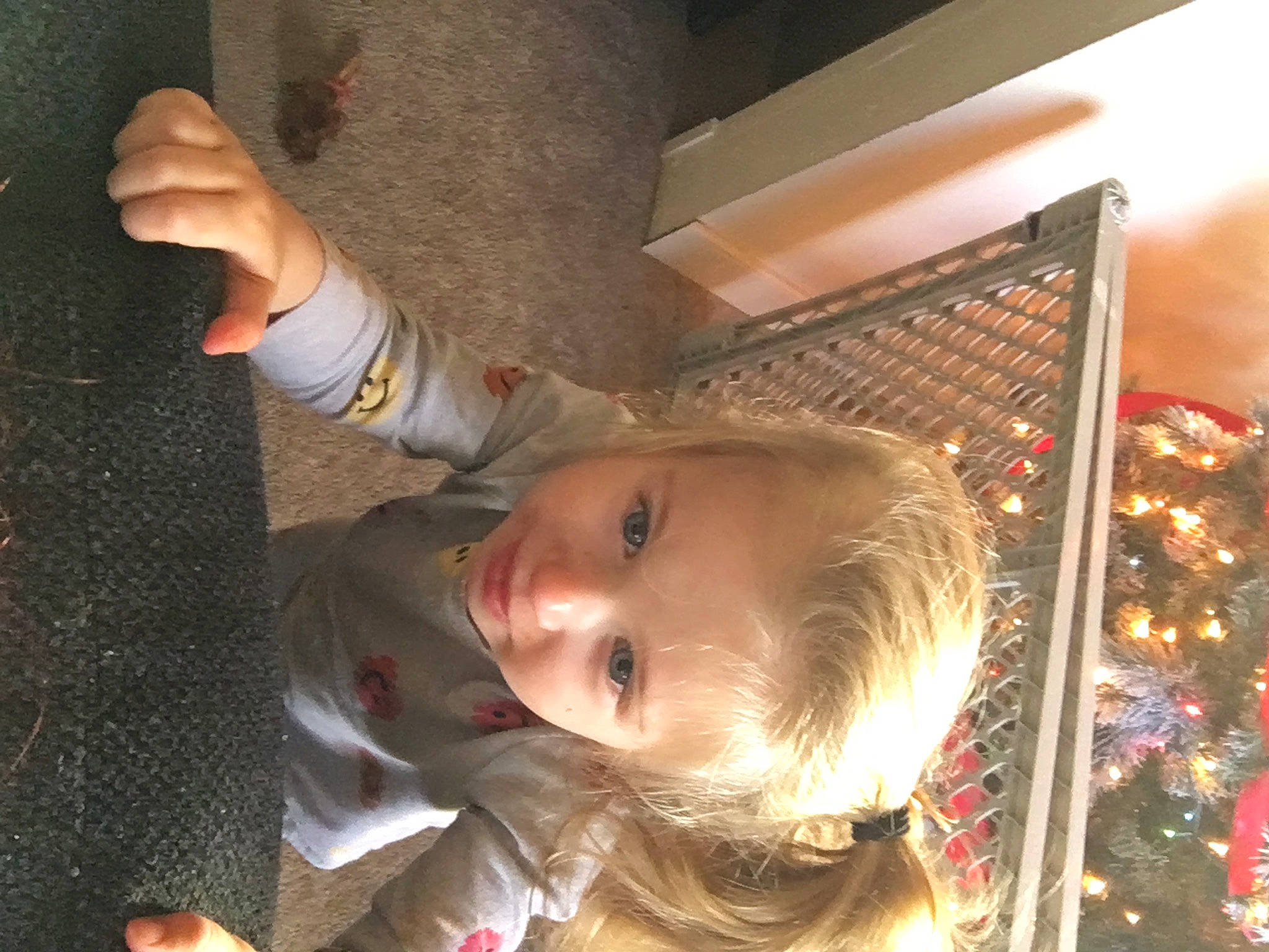 Serana is registered to the contest to win money with this photo: baby, cheek, child, event, fir, fun, happy, holiday, joy, nose, ornament, person, room, smile, toddler, wood