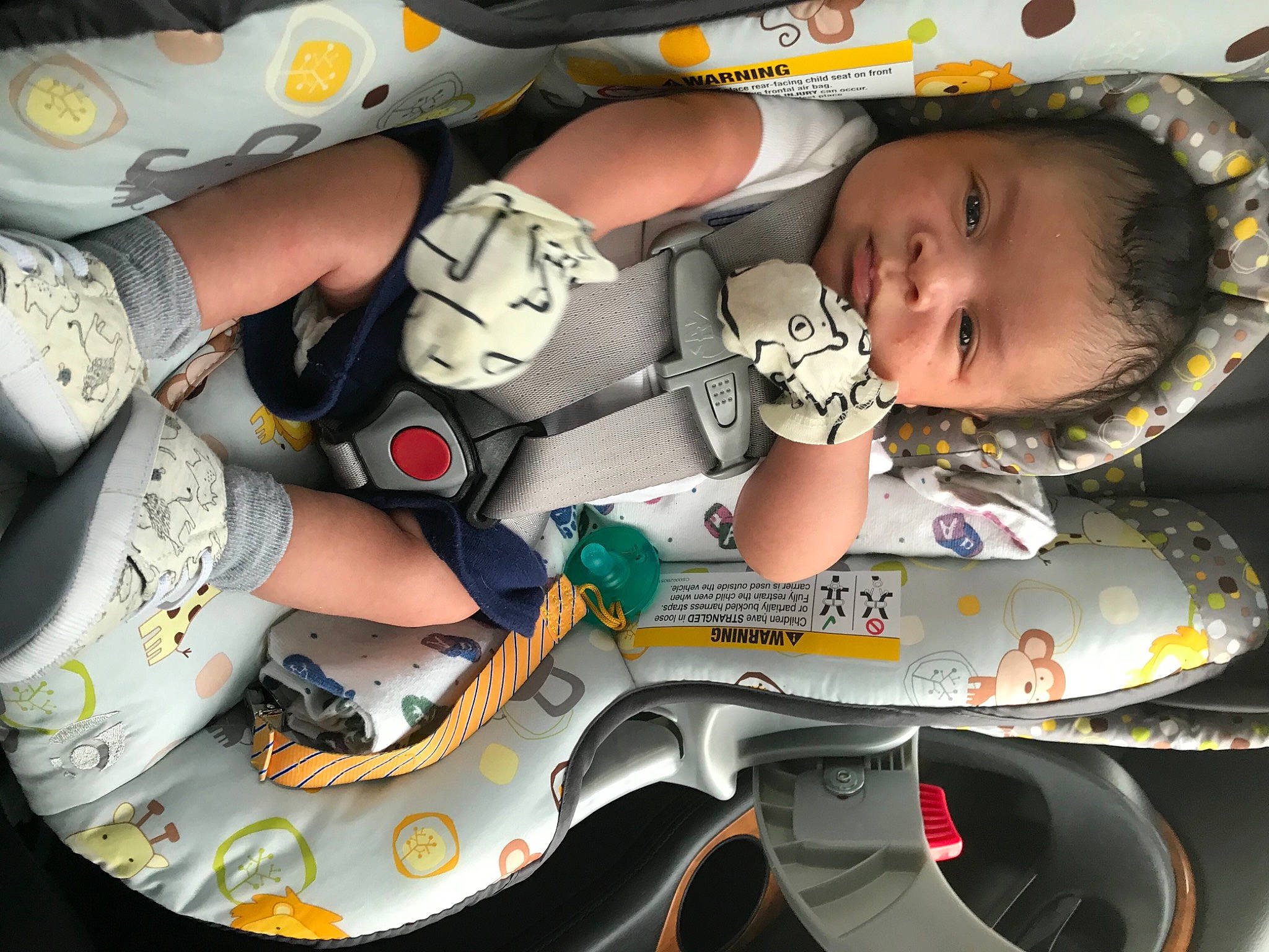Karson joined the competition — help win amazing prizes! arm, art, auto_part, baby, baby_products, baby_toddler_clothing, carmine, child, fashion_accessory, finger, font, human_leg, mouth, nail, pattern, person, personal_protective_equipment, plastic, sitting, toddler