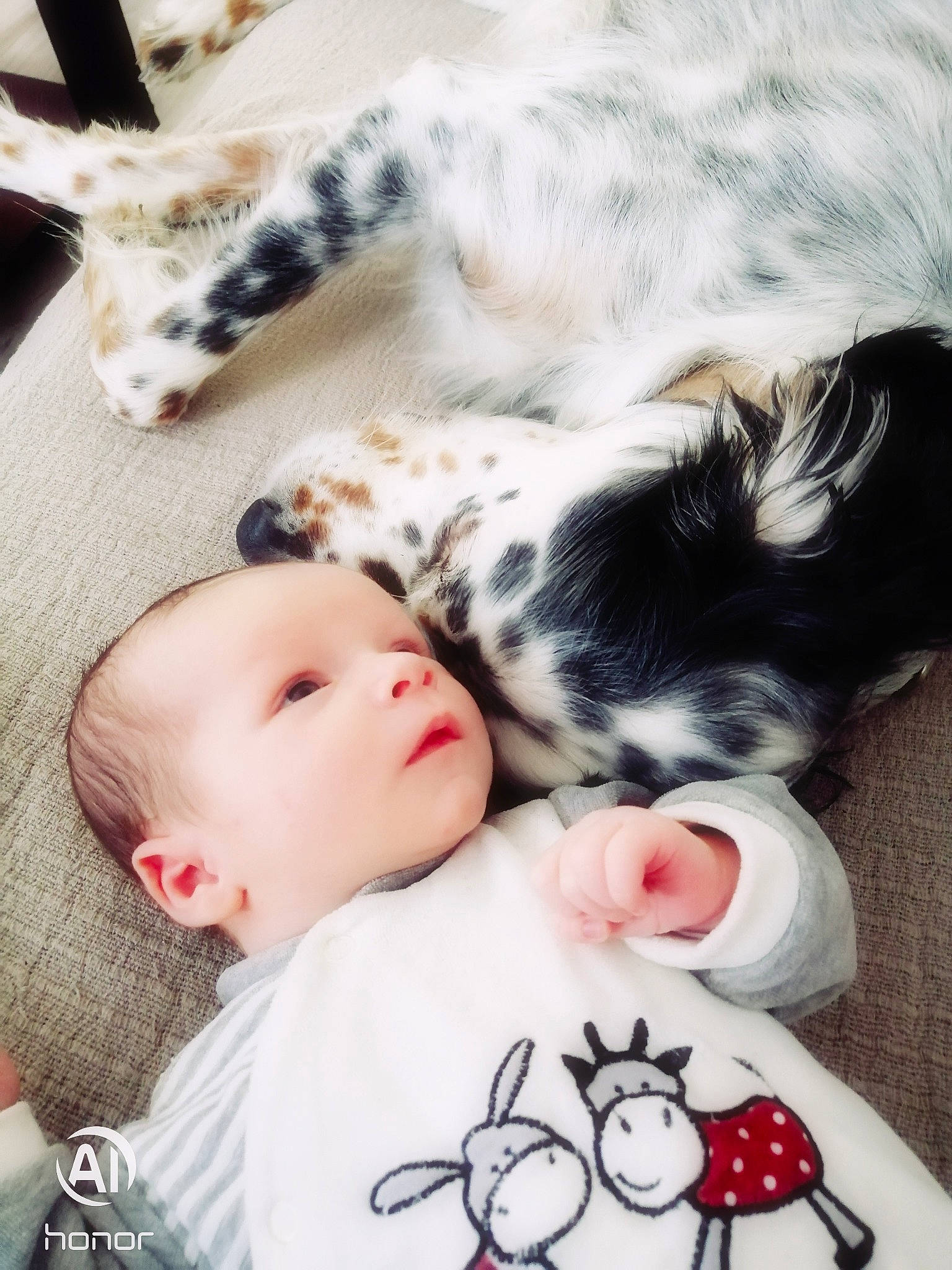 Arnaud a rejoint le concours — aidez-le/la à gagner de superbes lots ! baby, black_hair, canidae, child, companion_dog, ear, nap, non_sporting_group, person, photography, puppy_love, skin, snout, toddler