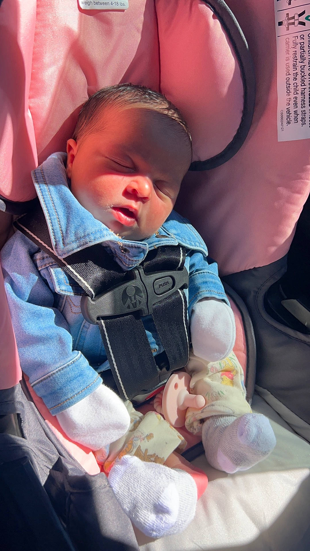 Daniella joined the competition — help win amazing prizes! baby, car, car_interior, carseat, clothing, coat, cushion, face, glove, hat, head, homedecor, jacket, newborn, pants, person, photography, portrait, transportation, vehicle