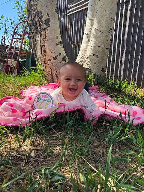 Avery is registered to the contest to win money with this photo: child, flora, flower, flowering_plant, fun, garden, girl, grass, grass_family, joy, lawn, leaf, person, pink, plant, play, recreation, smile, spring, toddler