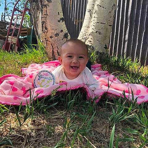 Avery