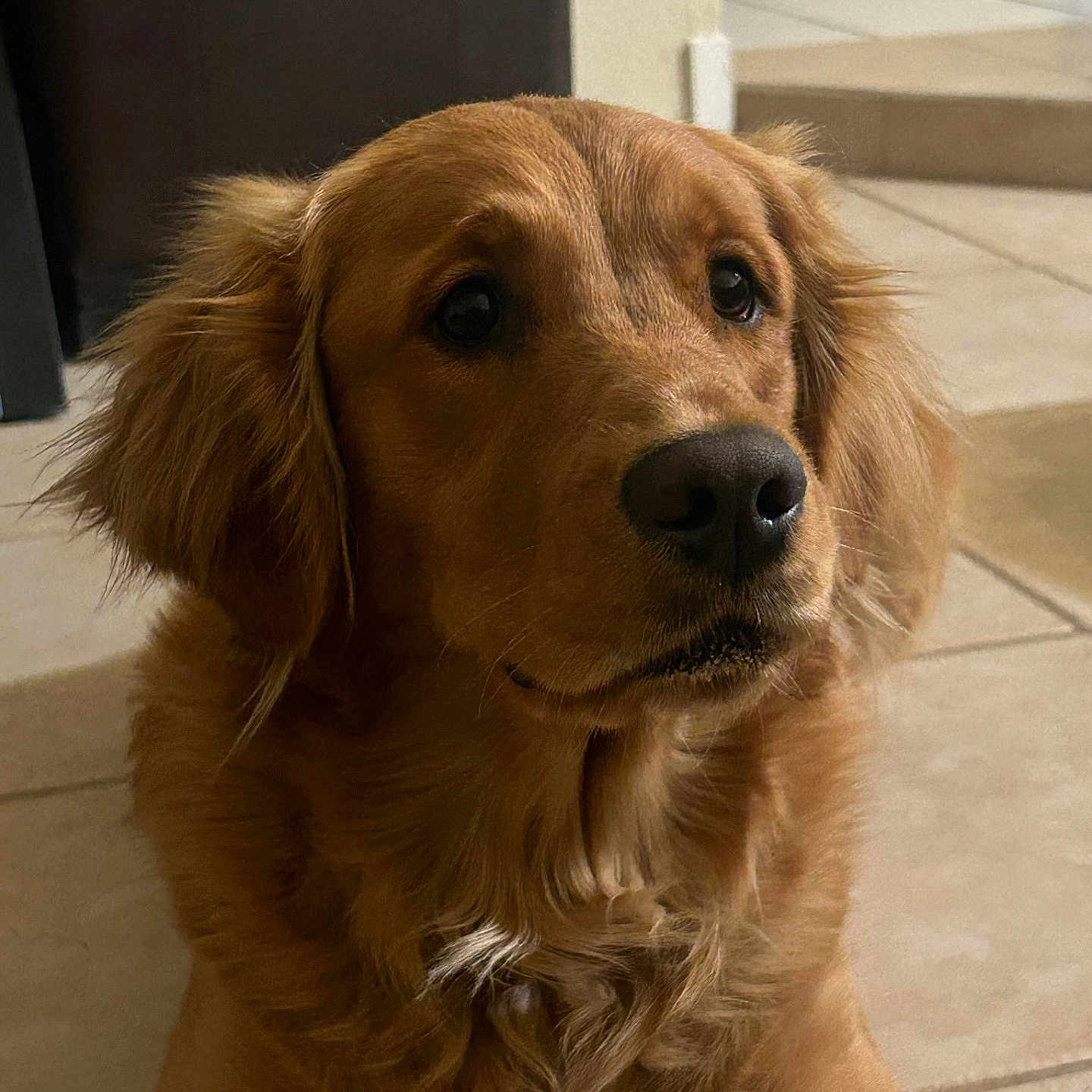 Sadie