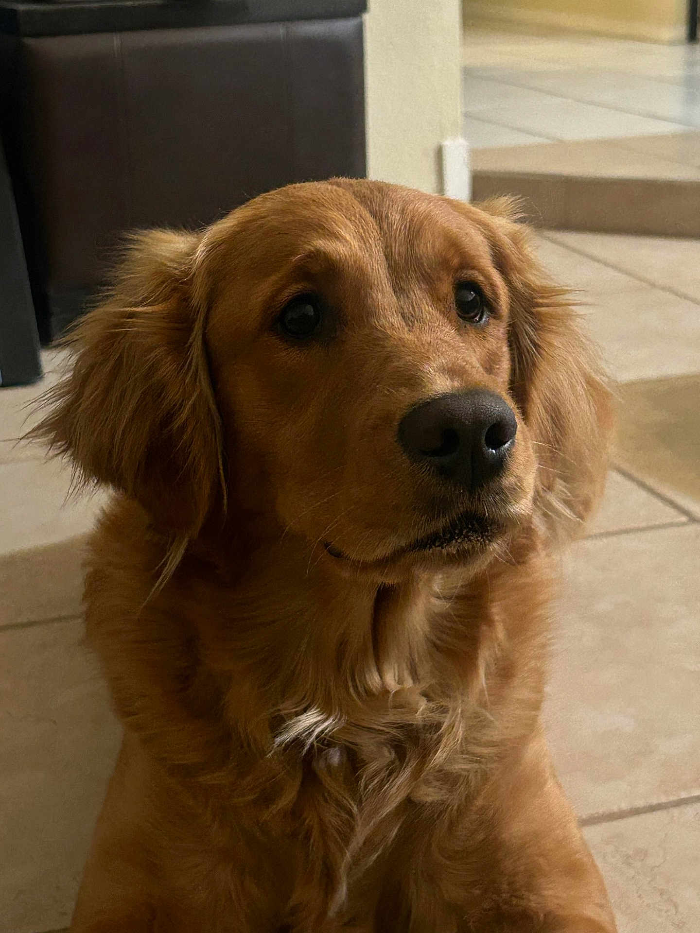 Sadie