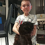 Pafou a rejoint le concours — aidez-le/la à gagner de superbes lots ! boy, cat, indoor, kitchen, child, furniture, high_chair, black_cat, expression, shirt, spider_web_pattern, tile_floor, chair, household_items, pet, holding, portrait, home, cute, animal