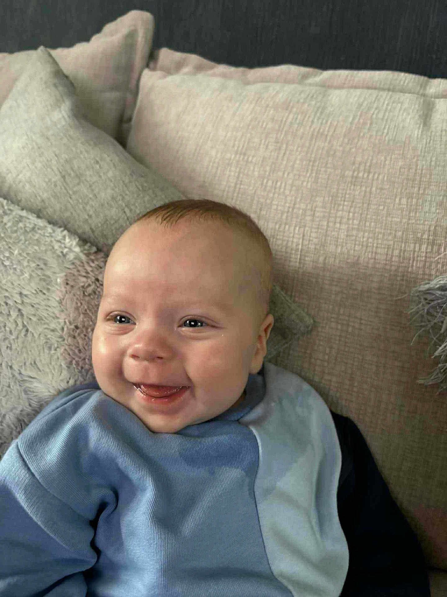 Reggie joined the competition — help win amazing prizes! baby, smiling, blue_clothing, couch, pillows, happy, infant, face, child, indoors, portrait, cozy, soft_texture, head, sitting, cute, young_child, cheerful, comfort, relaxed