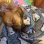 dog, small_dog, sleeping, blanket, polar_bear_pattern, cozy, fur, ear, nose, rest, nap, soft_texture, animal, pet, indoor, comfort, closeup, cuteness, wrapped, relaxation