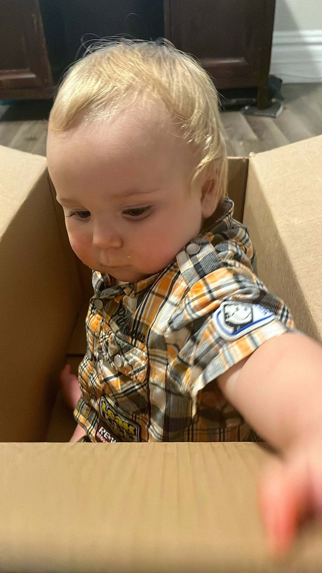 Axel is registered to the contest to win money with this photo: baby, box, carton, cheek, child, flooring, fun, hairstyle, head, mammal, pattern, person, plaid, play, shipping_box, sitting, sleeve, t_shirt, tartan, toddler