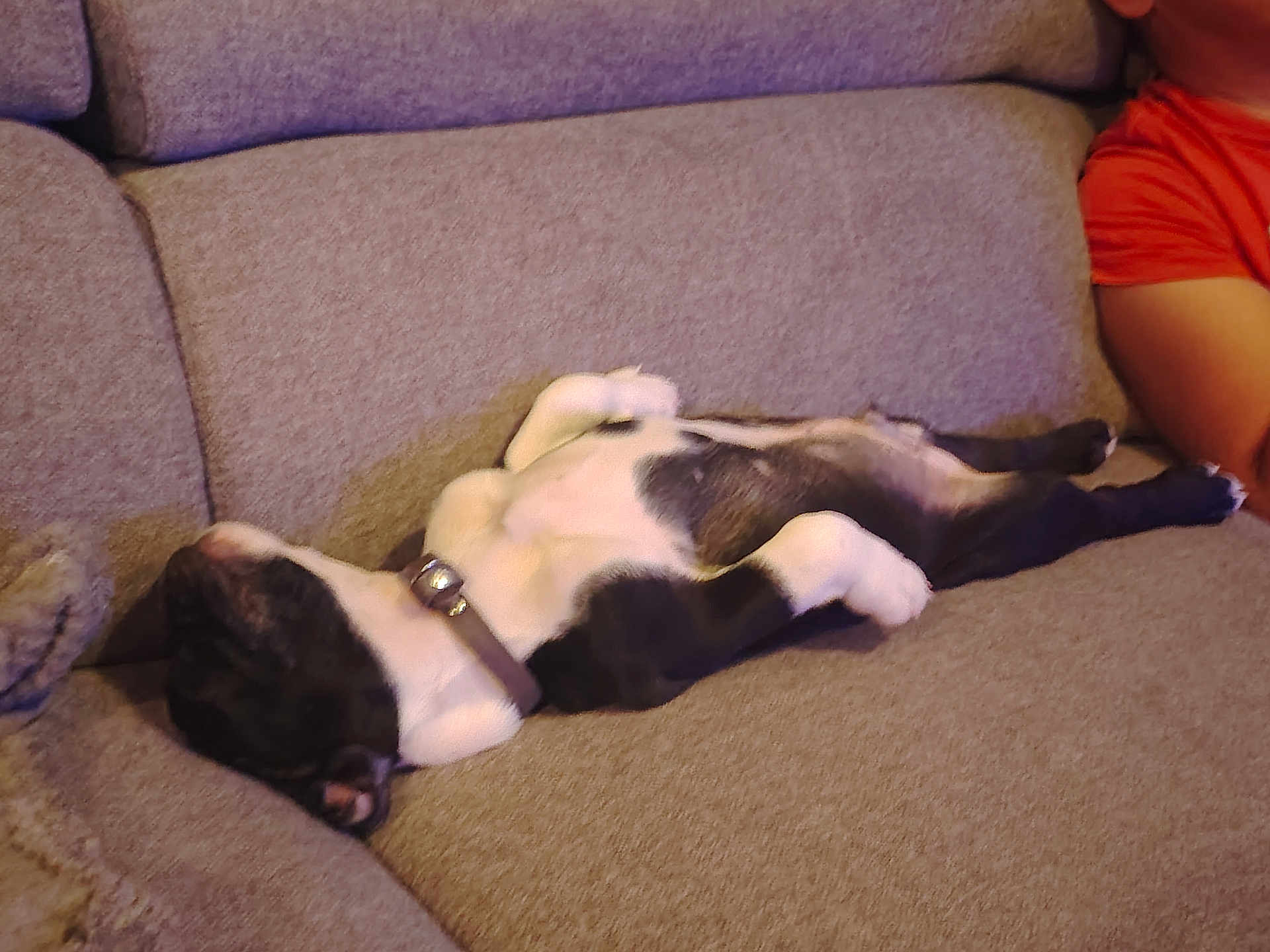 Rocky
