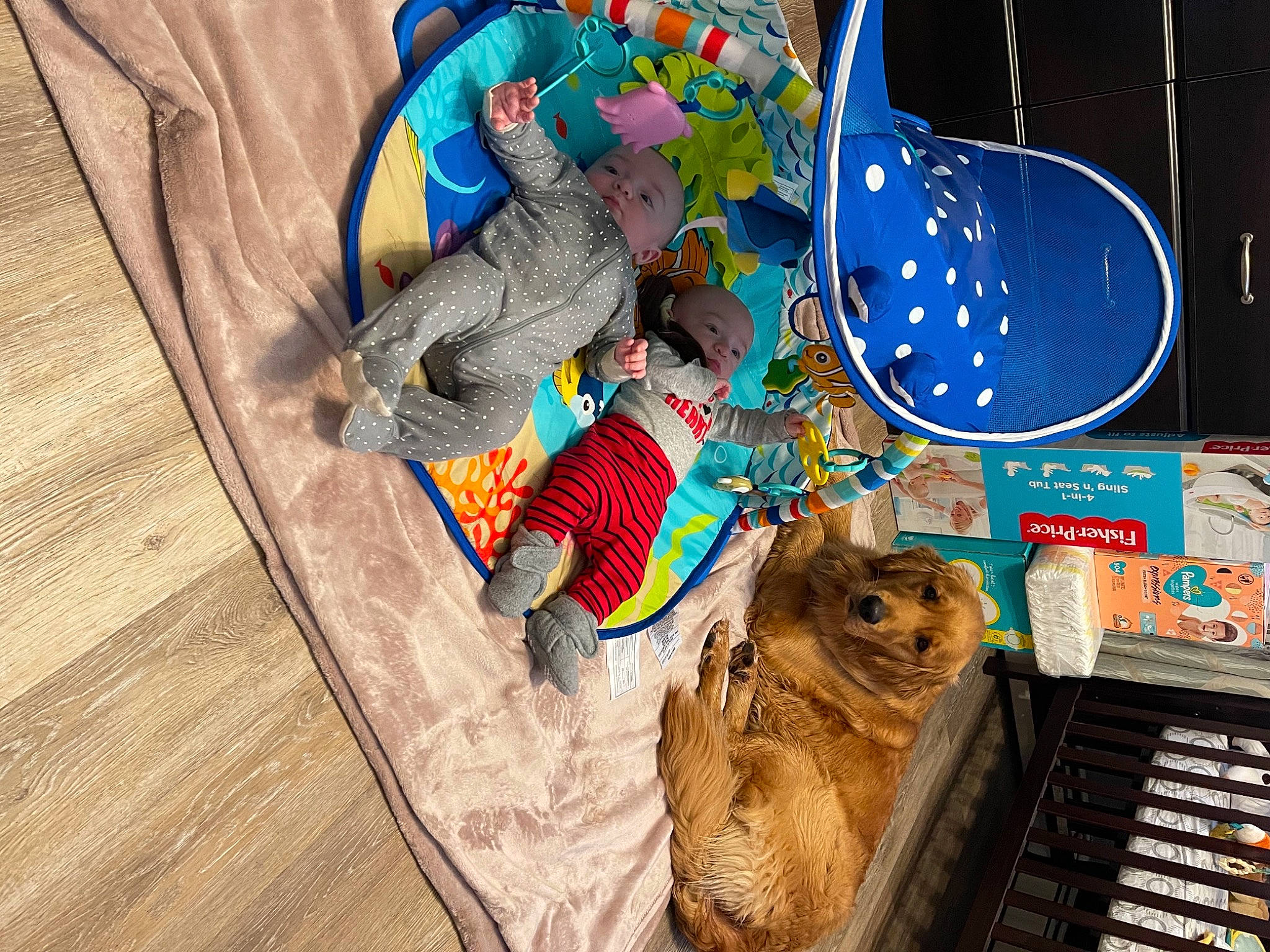 Olivier joined the competition — help win amazing prizes! electric_blue, fictional_character, fur, hardwood, hare, headwear, muroidea, owl, pattern, person, plastic, rabbit, rodent, sleeve, t_shirt, visual_arts, whiskers, wood, wood_flooring, wood_stain