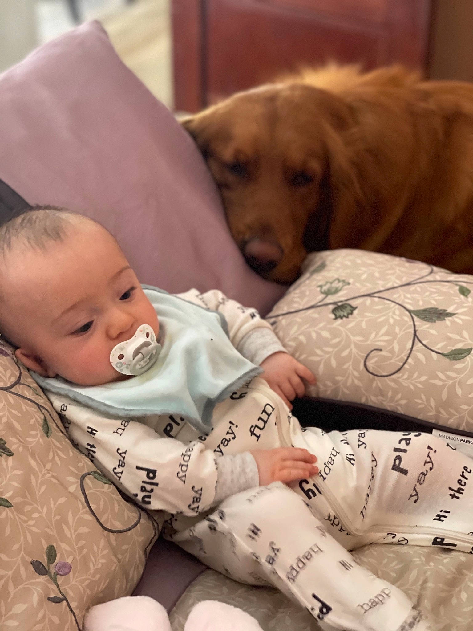 Olivier is registered to the contest to win money with this photo: baby, baby_toddler_clothing, bedding, bedtime, carnivore, child, comfort, companion_dog, dog, dog_breed, fur, happy, linens, mammal, pattern, person, sitting, sporting_group, toddler, wood