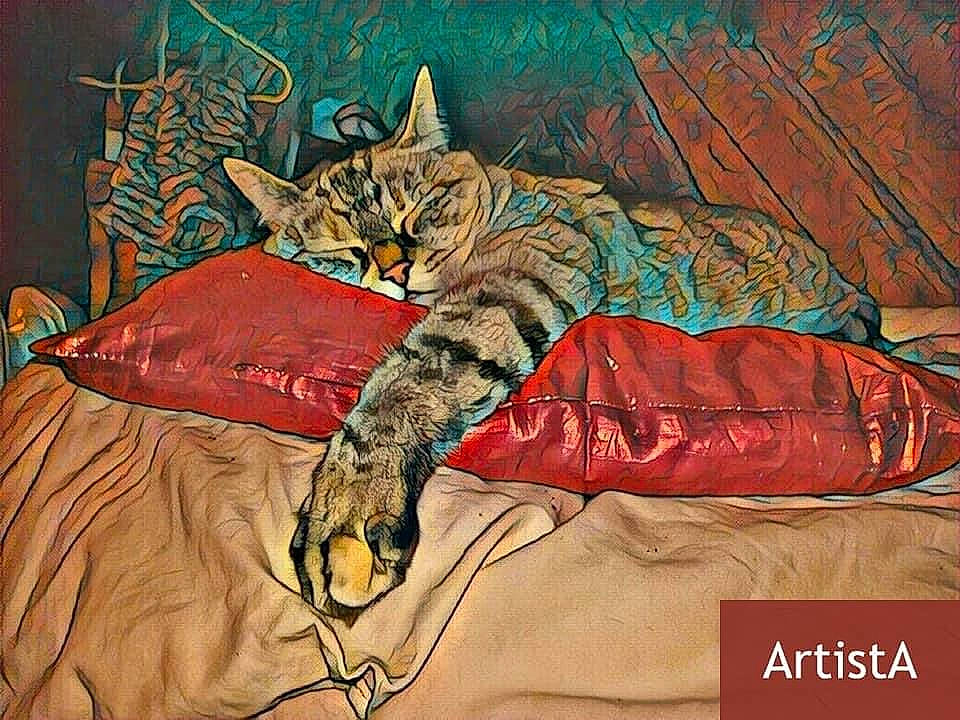 Indeeka a rejoint le concours — aidez-le/la à gagner de superbes lots ! bed, bedding, big_cats, carnivore, cat, comfort, domestic_short_haired_cat, felidae, fur, illustration, linens, painting, pattern, small_to_medium_sized_cats, snout, tail, terrestrial_animal, textile, whiskers, wildlife